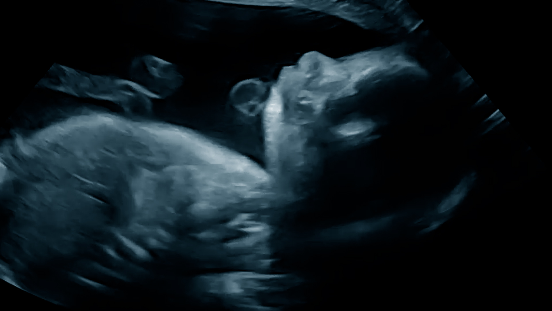 3d baby porn gift 